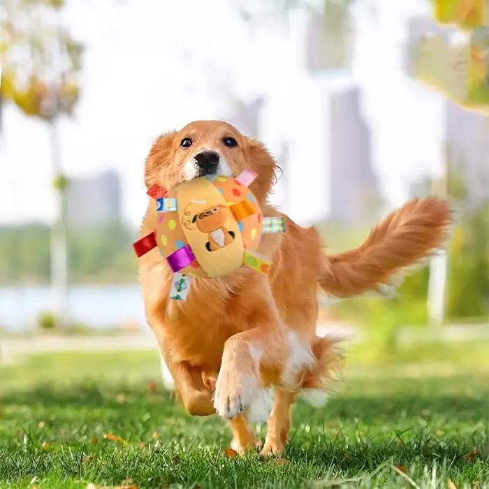 Balle de jouet Vocal en peluche pour chien, jouets interactifs amusants pour animaux de compagnie av