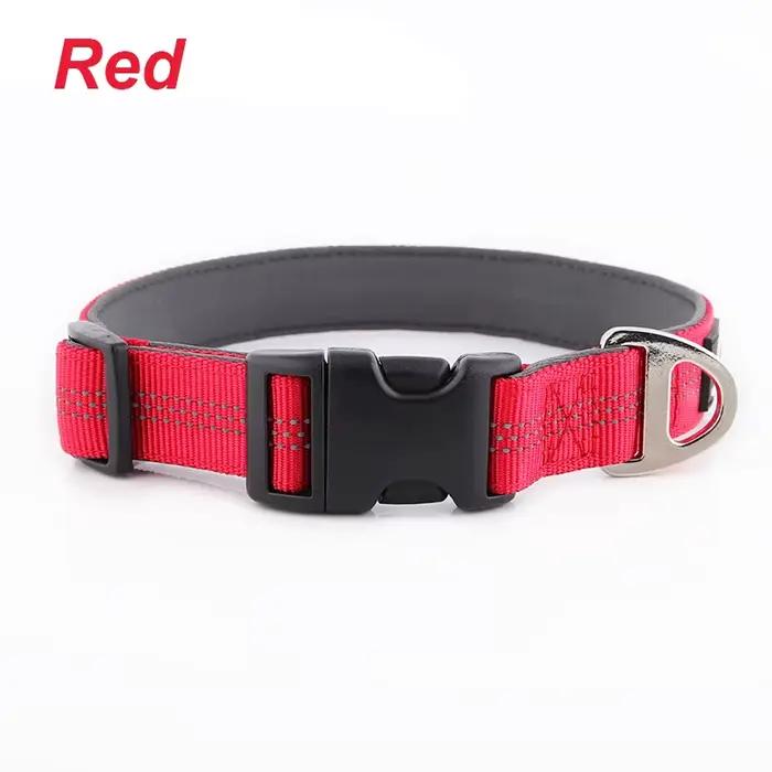 Colliers réglables en acier inoxydable pour animaux de compagnie, matériau 3/4, anti-étranglement, s