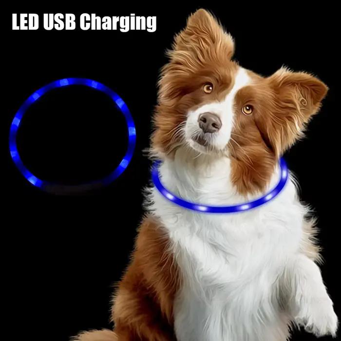 Collier lumineux clignotant de sécurité nocturne, collier de Charge lumineux de nuit, collier Led Us