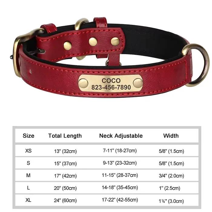 Collier pour chien personnalisé en cuir avec plaque d'identification, rembourré et doux, gravure gra