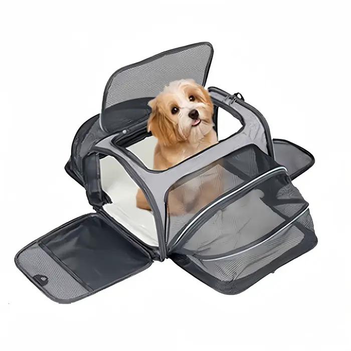 Sac de transport pour animaux de compagnie pliable petit chien Charter transportant chat sac d'exten