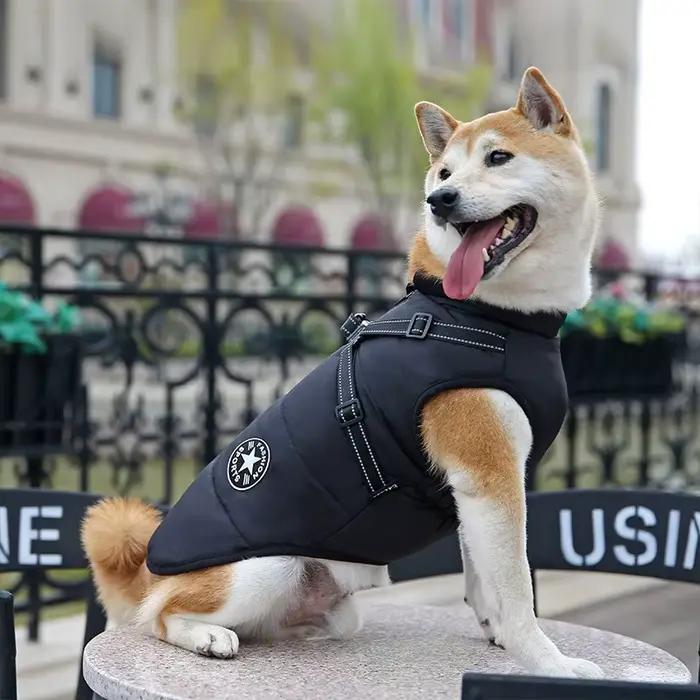 Vêtements d'hiver pour chien avec harnais, veste imperméable et chaude en coton pour petits et grand
