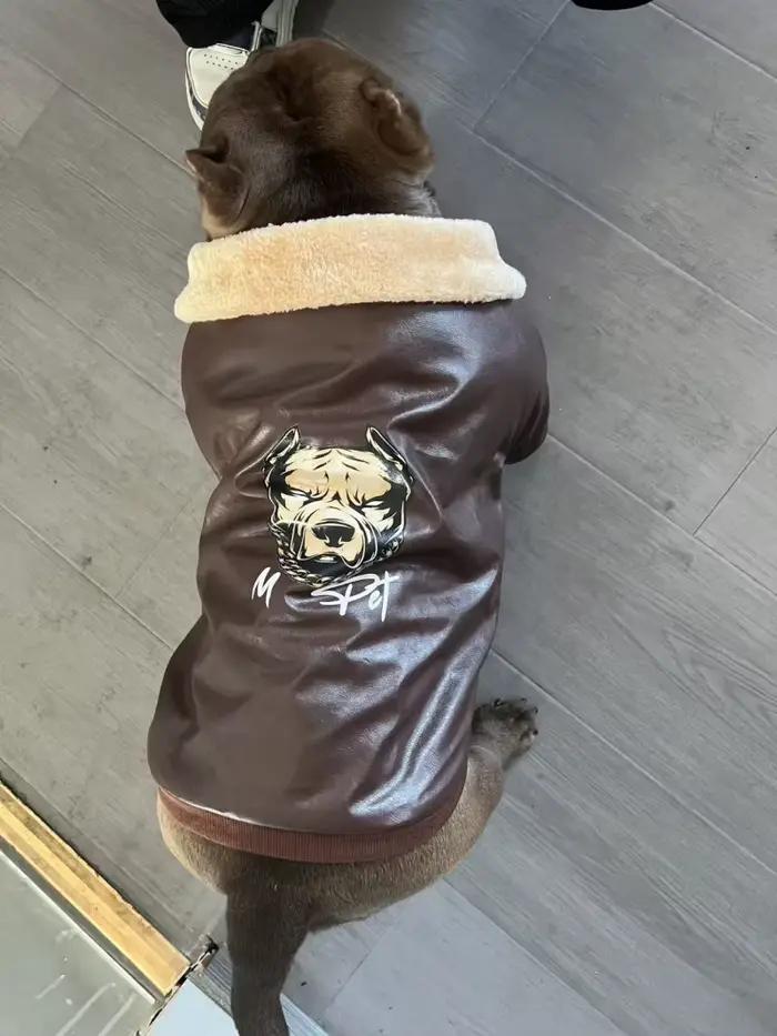 Carlin chien manteau veste hiver bouledogue français vêtements Schnauzer américain Bully Pitbull chi