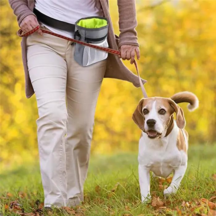 Sac de collation pour chien de compagnie, sac de friandises d'obéissance des aliments, pochette d'ex
