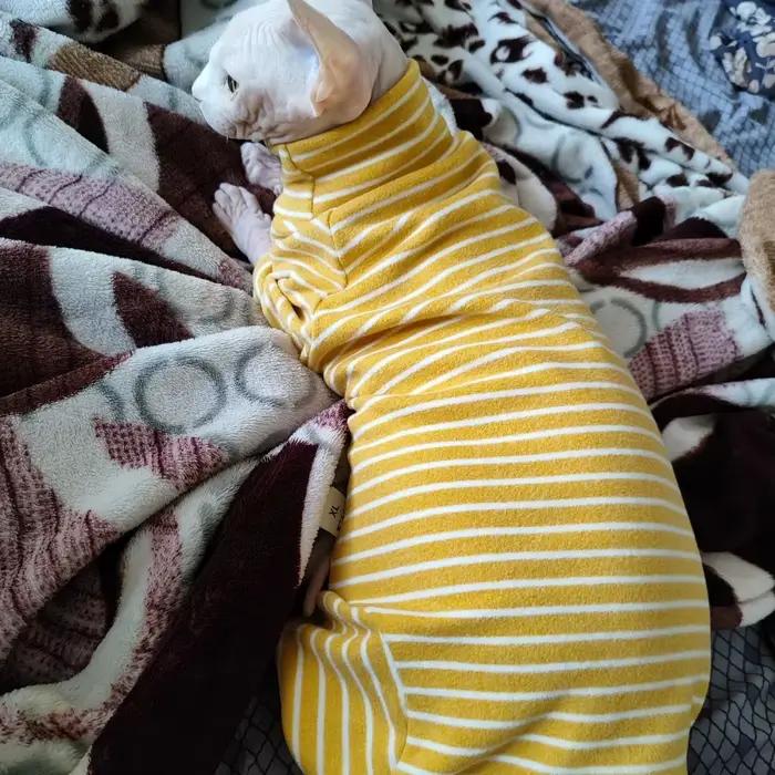 Vêtements d'hiver pour chat, manteau rayé en coton à 4 pattes pour Sphnx, maillot de corps à manches