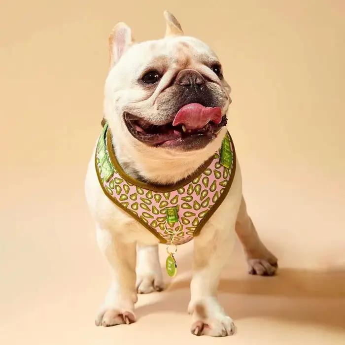 Harnais pour animaux de compagnie, cadeau de saint-valentin et du nouvel an, Design de luxe, réglabl