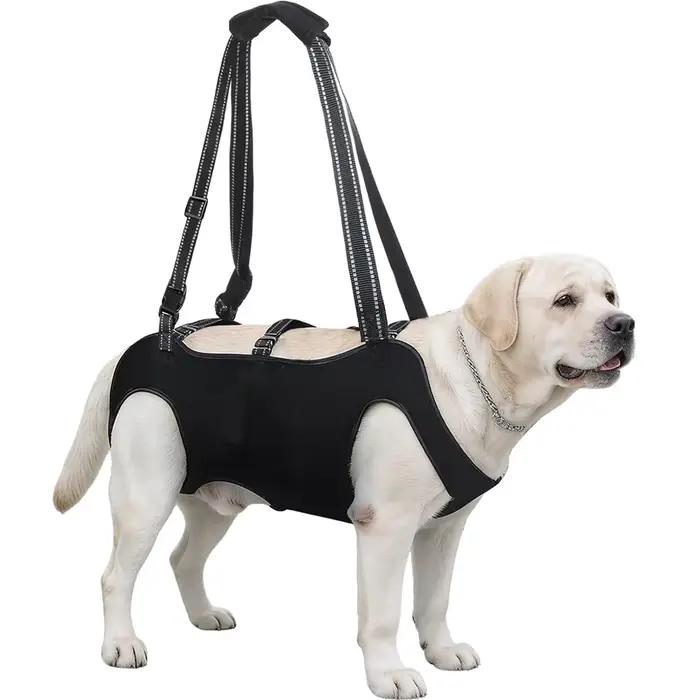 Harnais de levage pour chien avec poche, harnais complet pour chien avec poignée réglable |   Porte-
