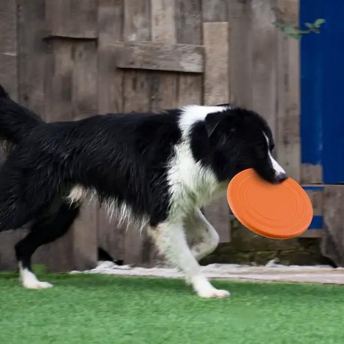Soucoupe volante en Silicone, 7 couleurs, jouet amusant pour chien et chat, jeu pour chien, disques 