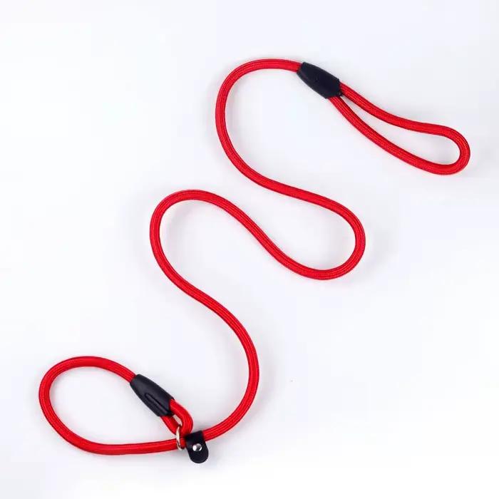 Laisse d'entraînement pour chien, laisse en nylon durable, résistante, anti-traction, confortable, r