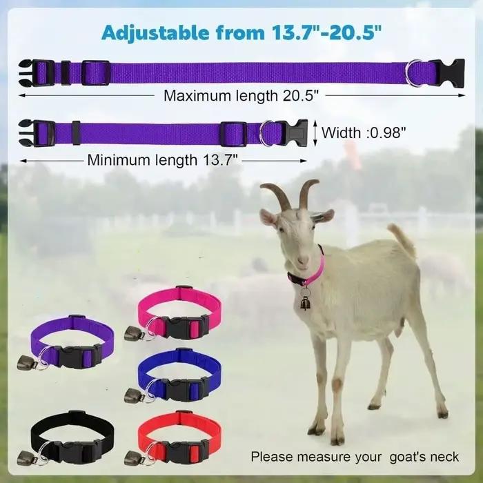 Collier réglable anti-perte pour animaux de compagnie avec boucle à dégagement rapide et clochette
