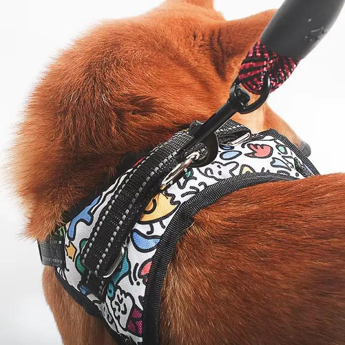 Laisse pour chien avec poignée rembourrée confortable