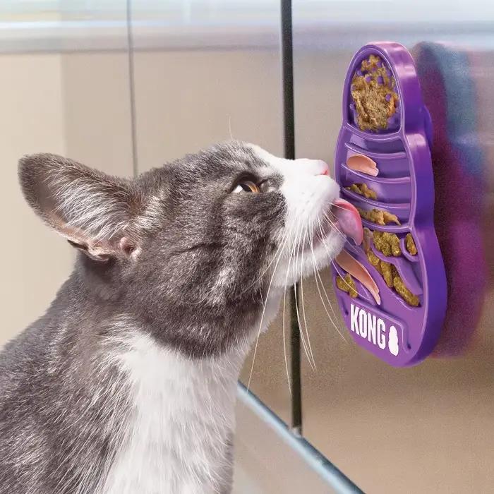 KONG se lève pour chien / Kitty