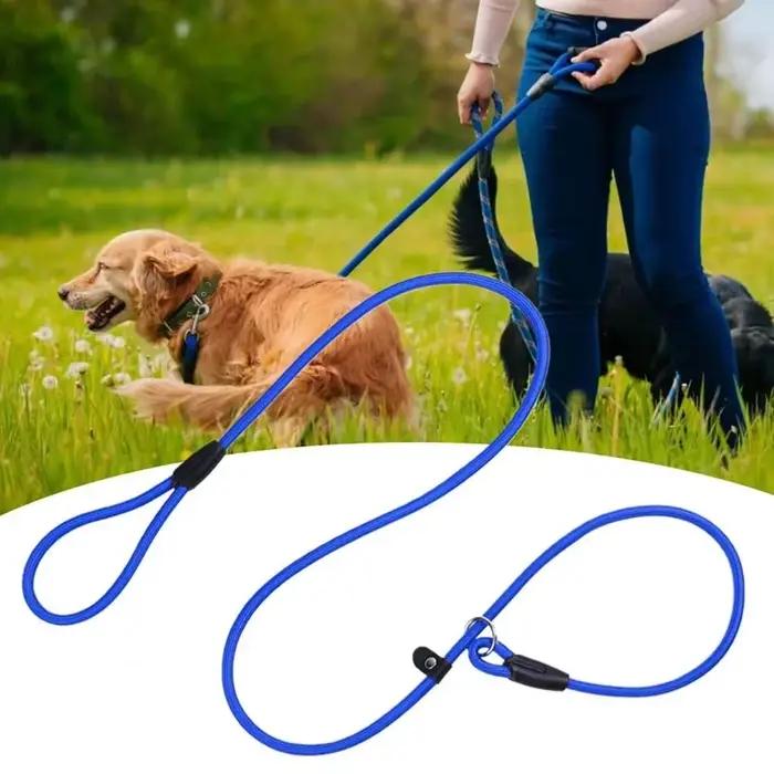 Laisse d'entraînement pour chien