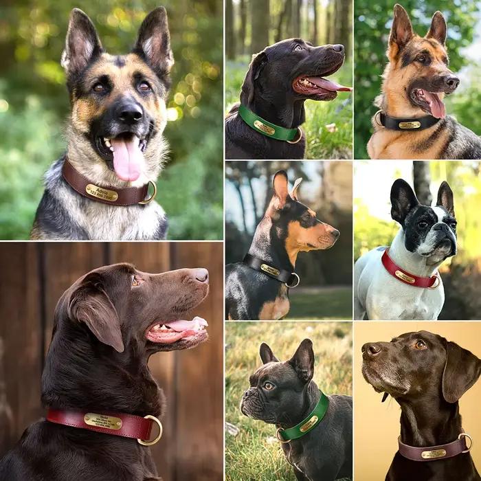 Collier de chien personnalisé en cuir véritable