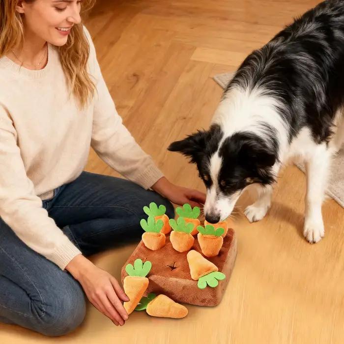 Tapis de reniflement interactif pour chiens avec carottes