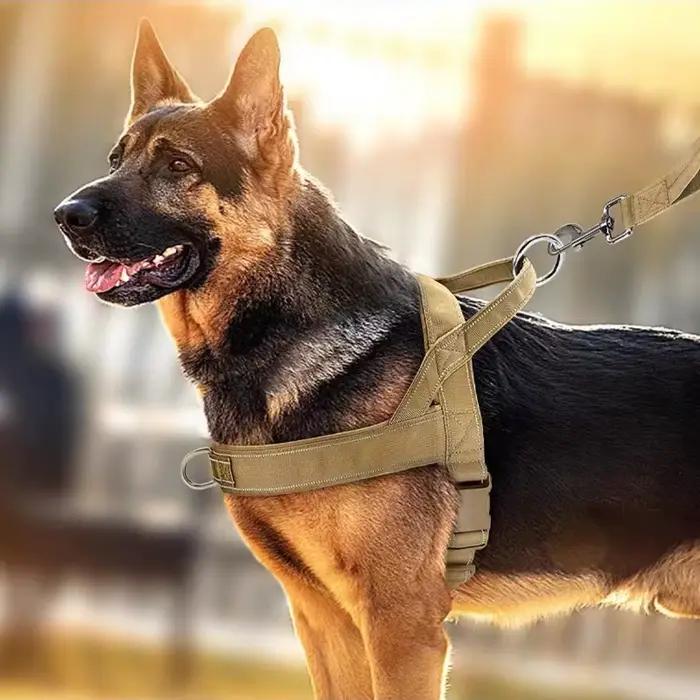 Harnais pour chien anti-explosion