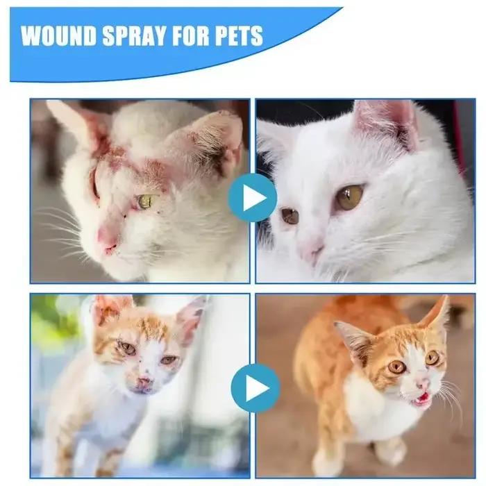 Spray anti-démangeaison et anti-démangeaison pour animaux de compagnie