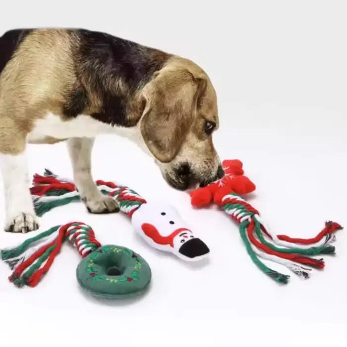 Jouets à mâcher pour chien