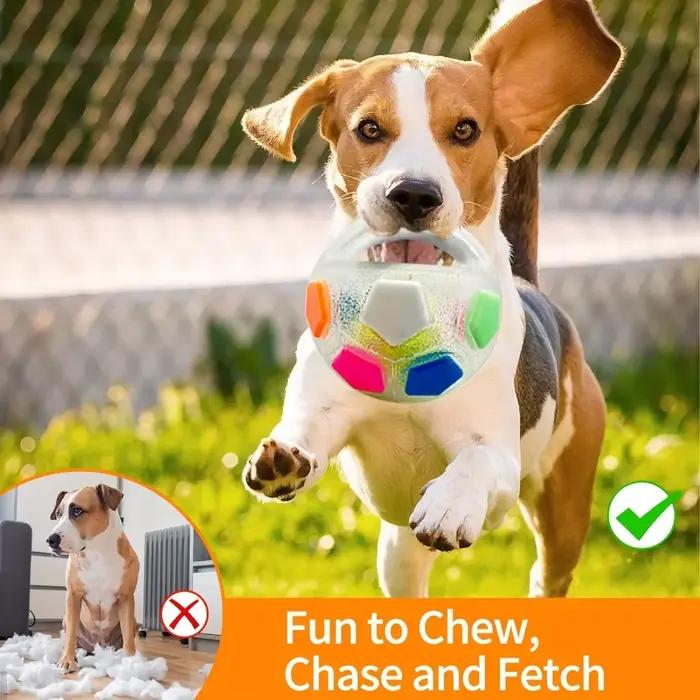 Jouets pour chiens ballon de football avec poignée à l'extérieur flottant grinçant pour remorqueur de guerre jouet