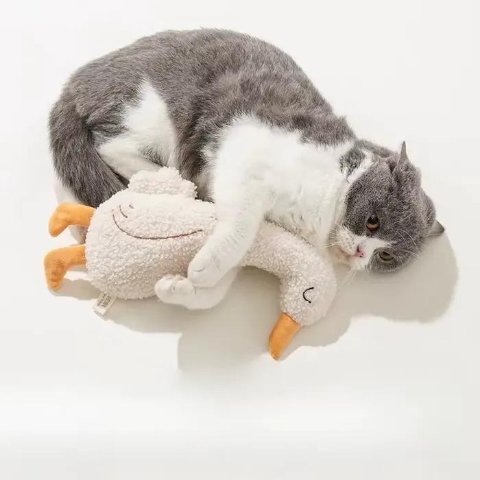 Nouveaux jouets interactifs pour chats et chiens