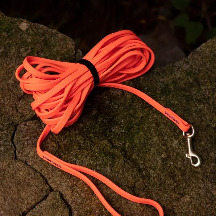 Laisse pour chien de 1