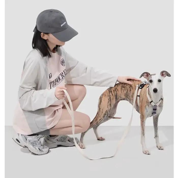 Harnais et laisse pour chien ultra-légers en forme de H