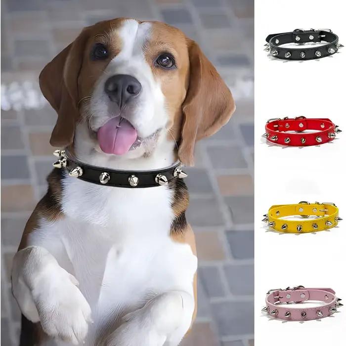 Colliers pour petits chiens