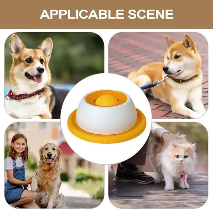 Jouets interactifs pour chiens