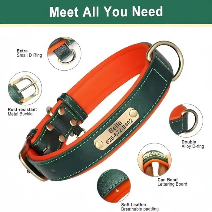 Collier de chien en cuir rembourré personnalisé