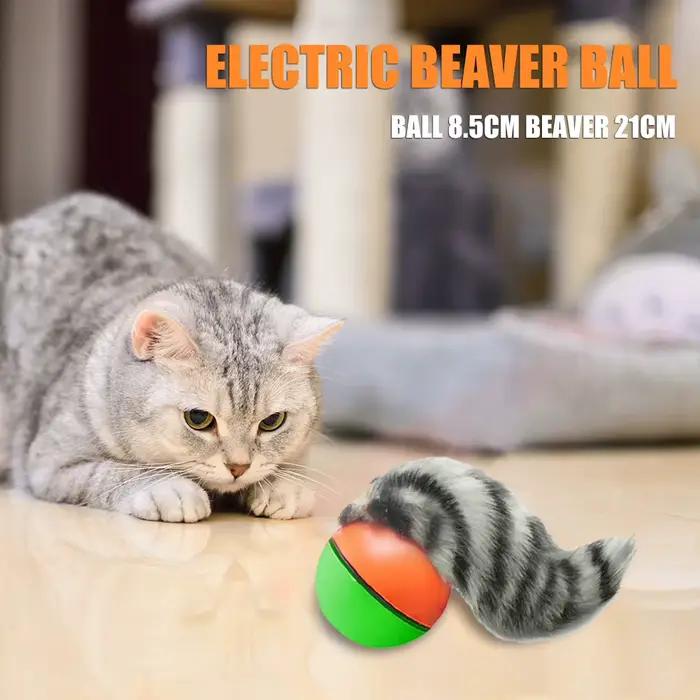 Balle roulante électrique pour animaux de compagnie