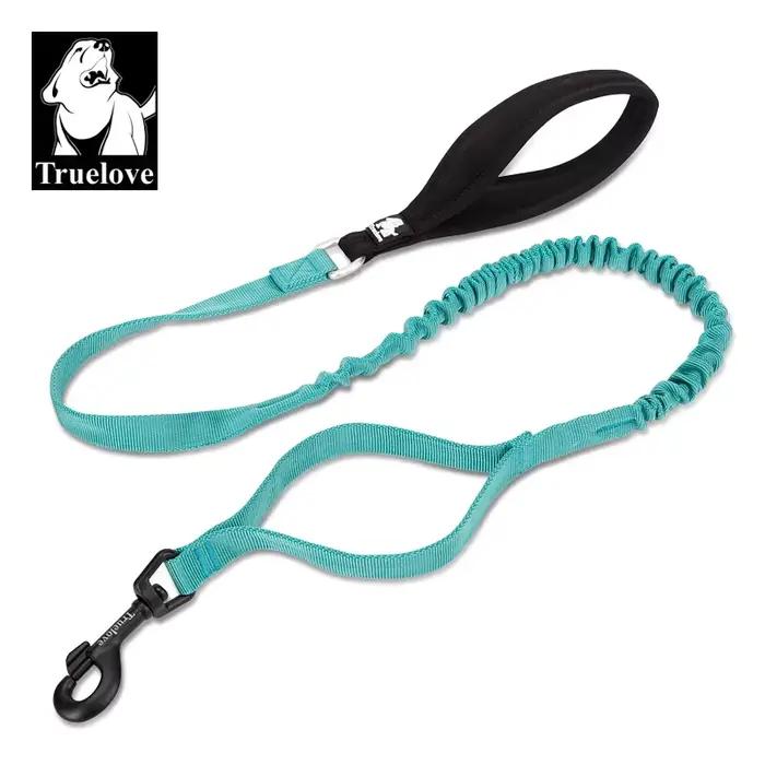 Laisse pour animaux de compagnie