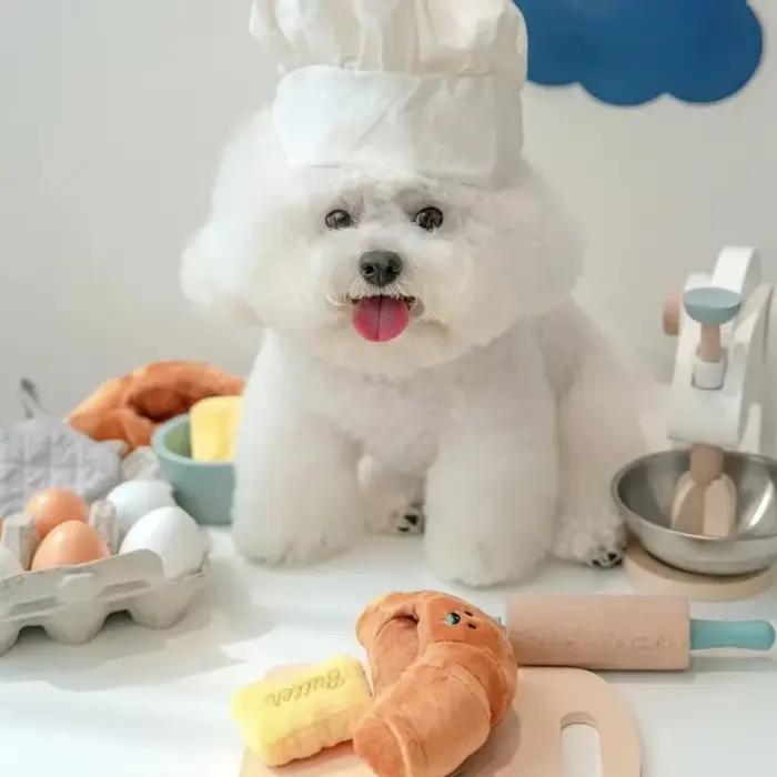 Jouet de reniflage de nourriture cachée jouets de chien grinçant