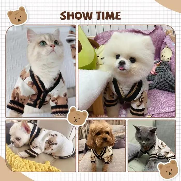 Pull pour chien de compagnie