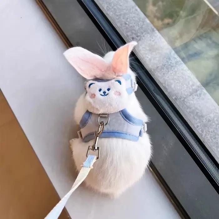 Harnais de traction réglable anti-rupture pour lapins nains aux oreilles tombantes