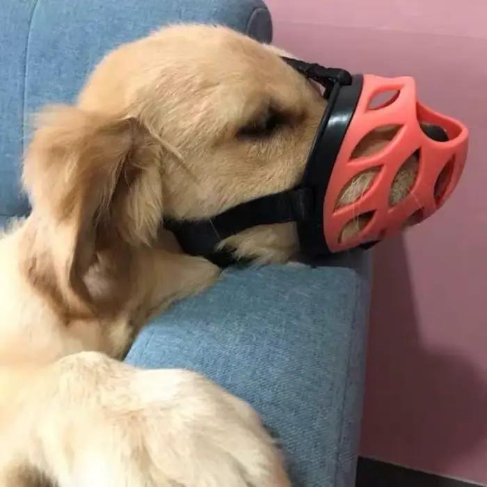 Muselière robuste et durable pour chiens de taille moyenne à grande