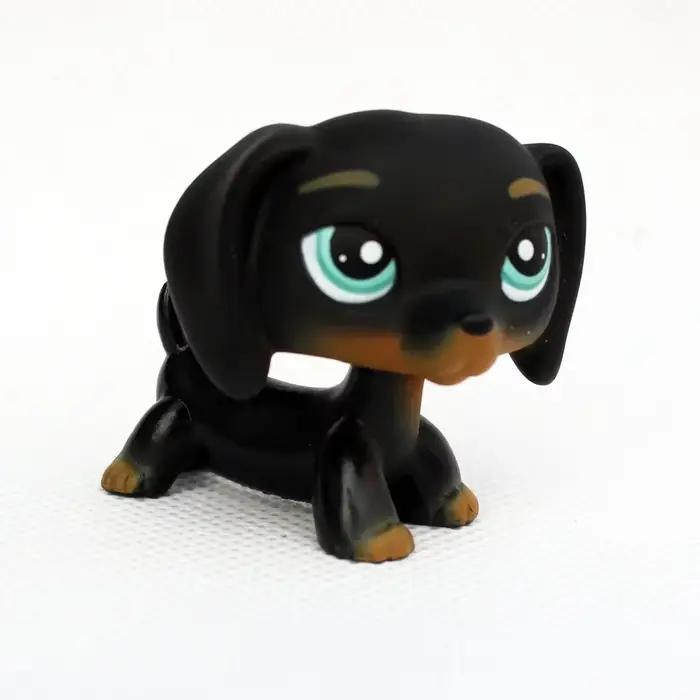 Jouets originaux pour animaux de compagnie
