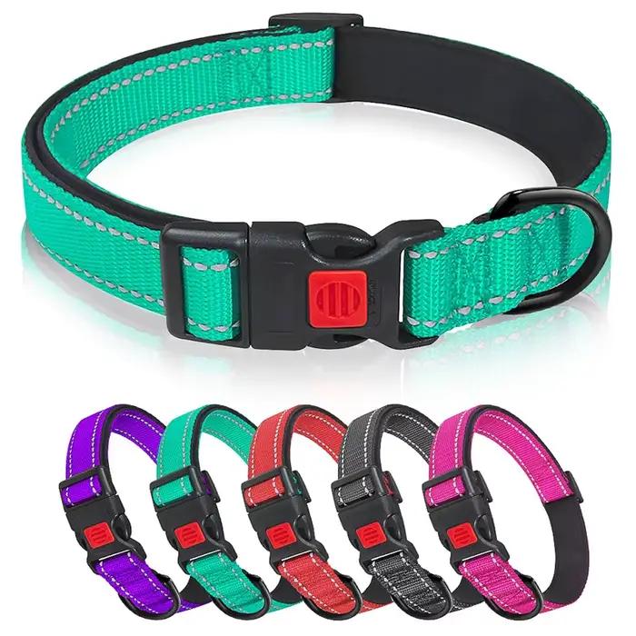 Collier de chien en fonte réglable