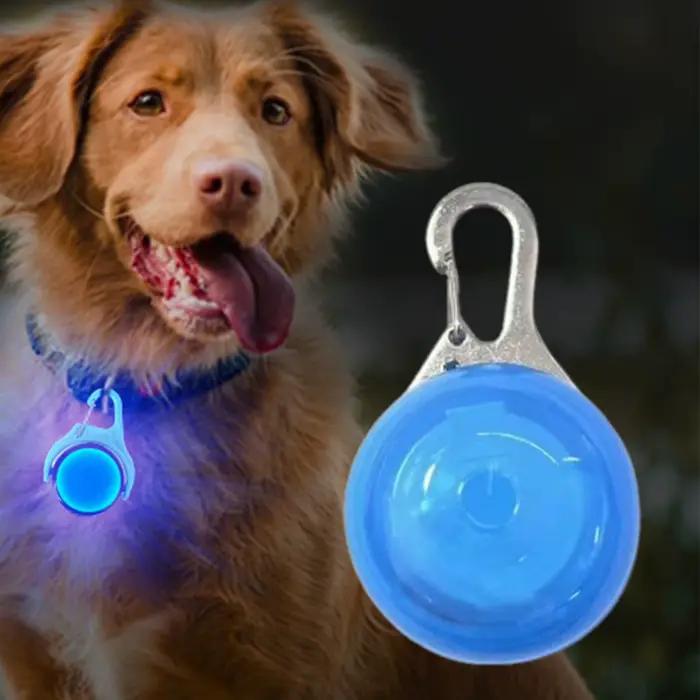 Collier pendentif lumineux LED pour chien