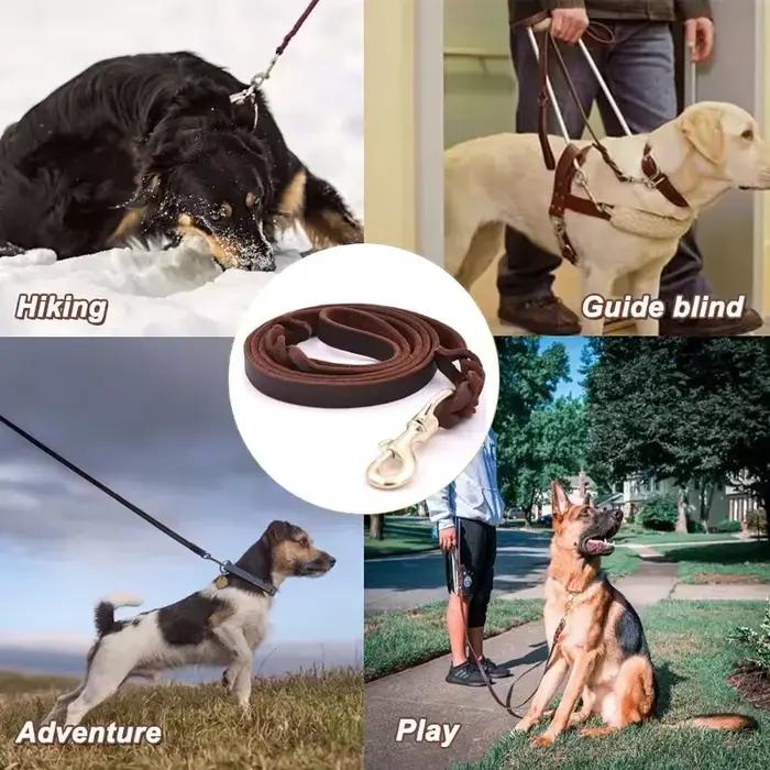 Laisse pour chien en cuir véritable