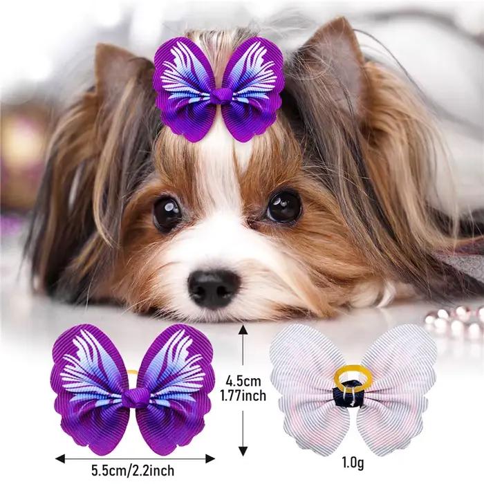 Accessoires Pour petits chiens