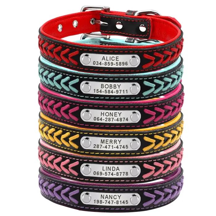 Collier pour chien personnalisé