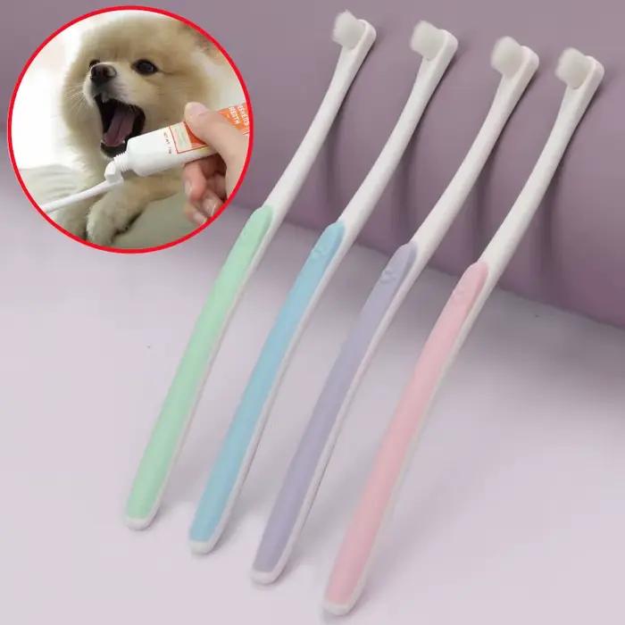 Brosse à dents pour chien