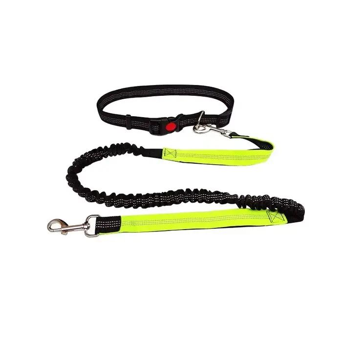 Laisse de chien mains libres pour animaux de compagnie