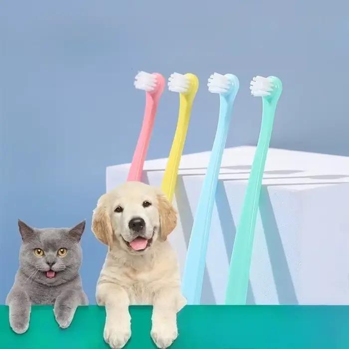 Brosse à dents pour chien