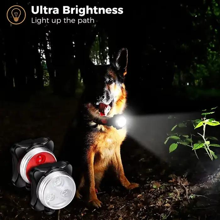 Lumière LED pour collier de chien