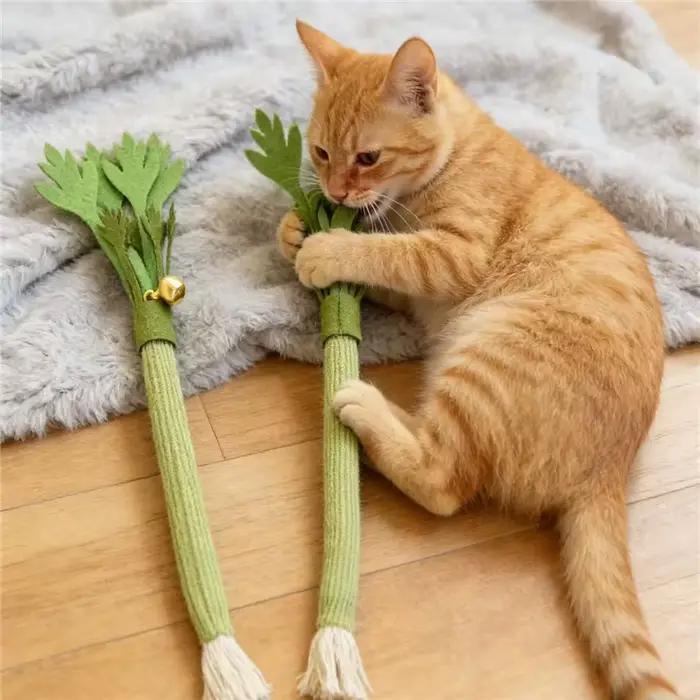 Jouets à mâcher pour chat