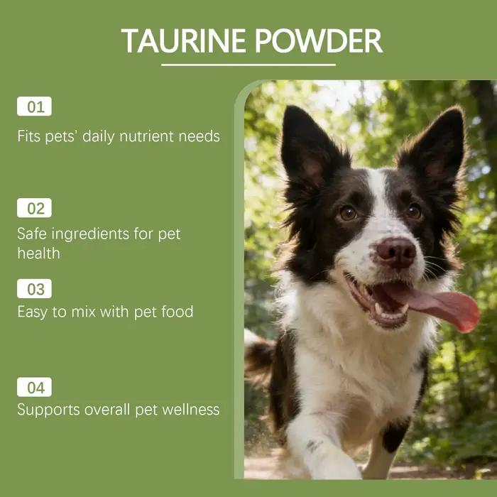 Poudre de Taurine pour Chiens Facile à Mélanger Soutient la Santé Cognitive Améliore la Luminosité du Pelage