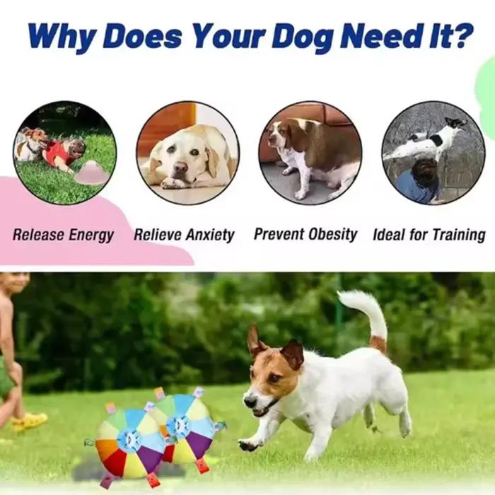Jouet en peluche sonore pour chien