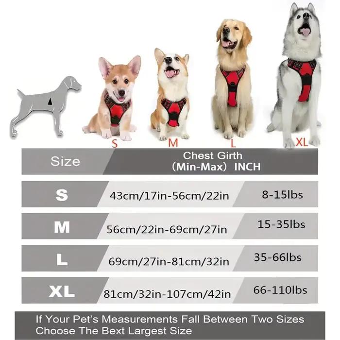 Harnais pour chien sans laisse