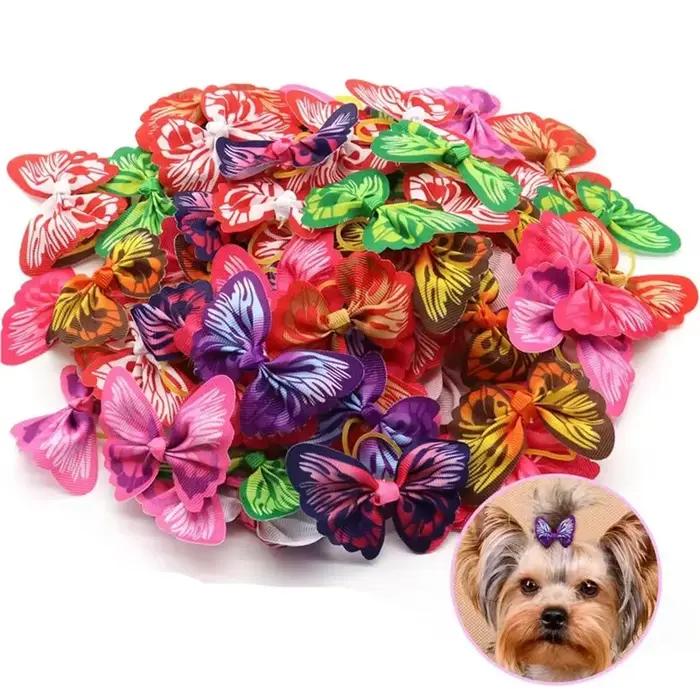 Accessoires Pour petits chiens